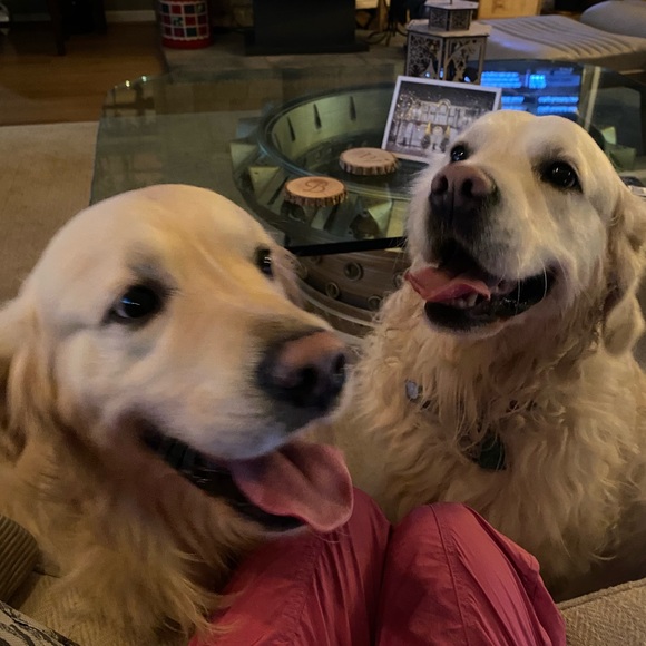 WELCOME TO MY POSHCLOSET 😘 I’m SO happy you popped by 😁 Here’s info on me 😉 - Picture 15 of 15